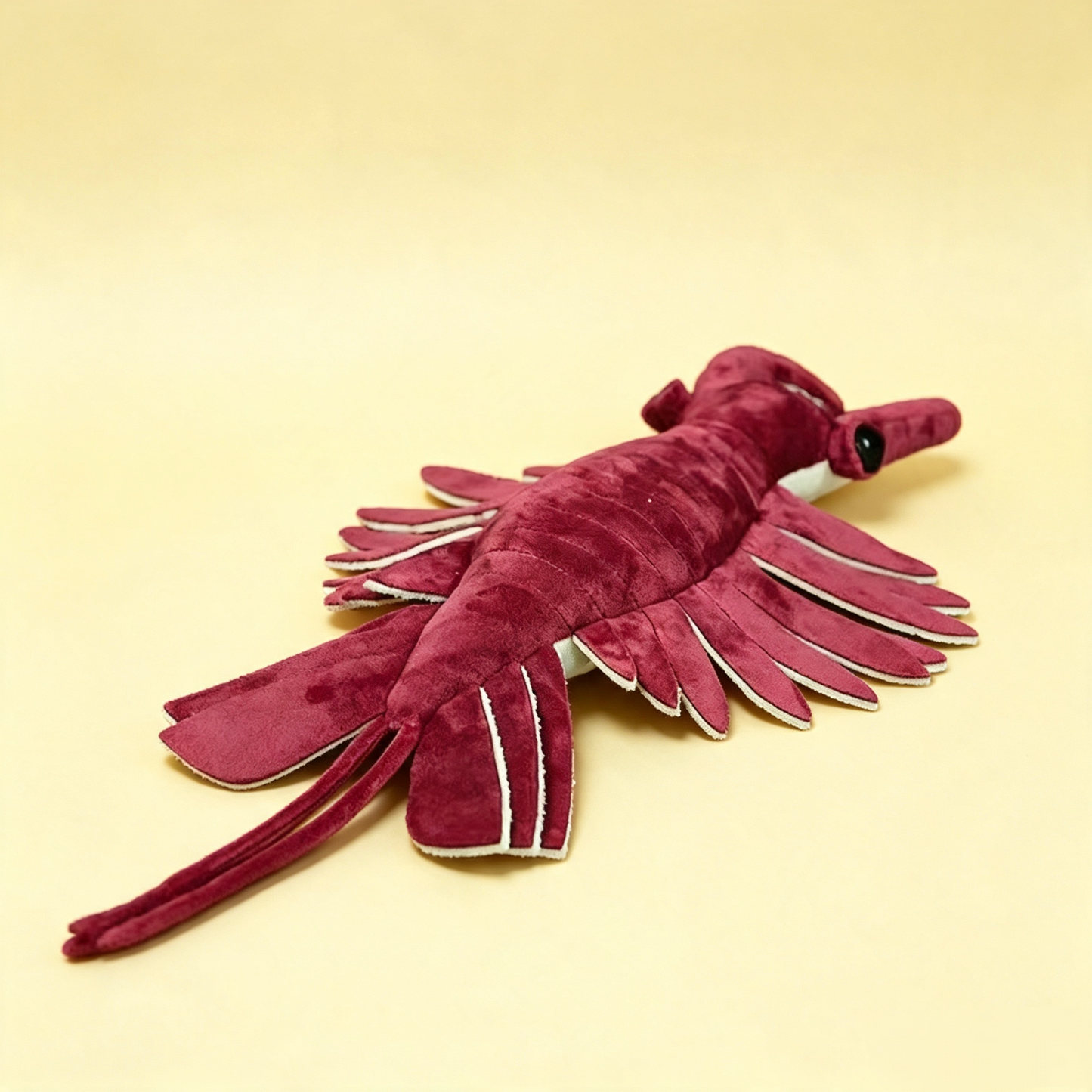 Cam the Anomalocaris Plush Toy – Cambrian Sea Creature Stuffed Animal