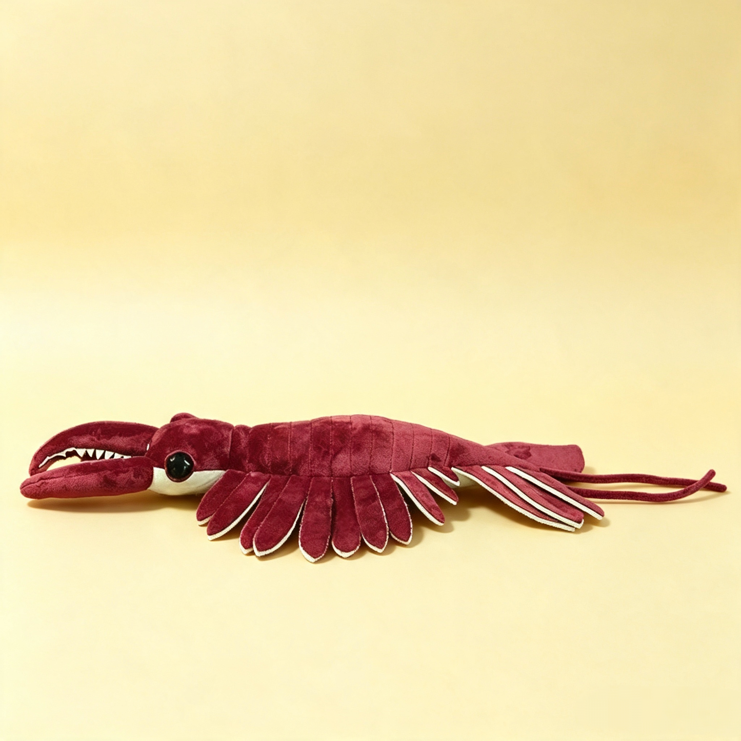 Cam the Anomalocaris Plush Toy – Cambrian Sea Creature Stuffed Animal