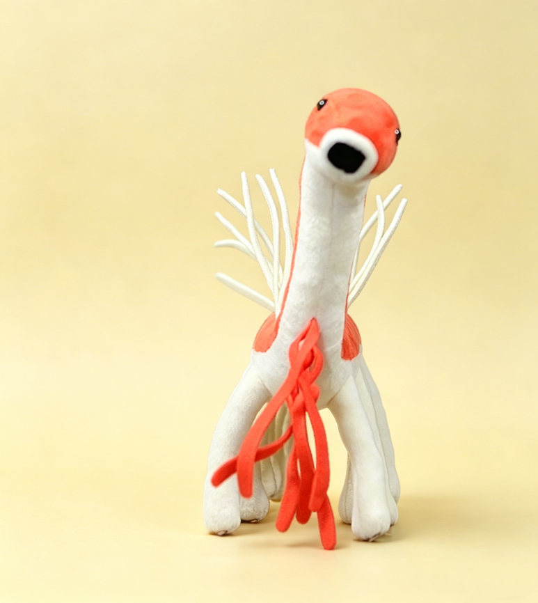 Hallucigenia stuffed animal front view – soft weird plush toy OddyPals